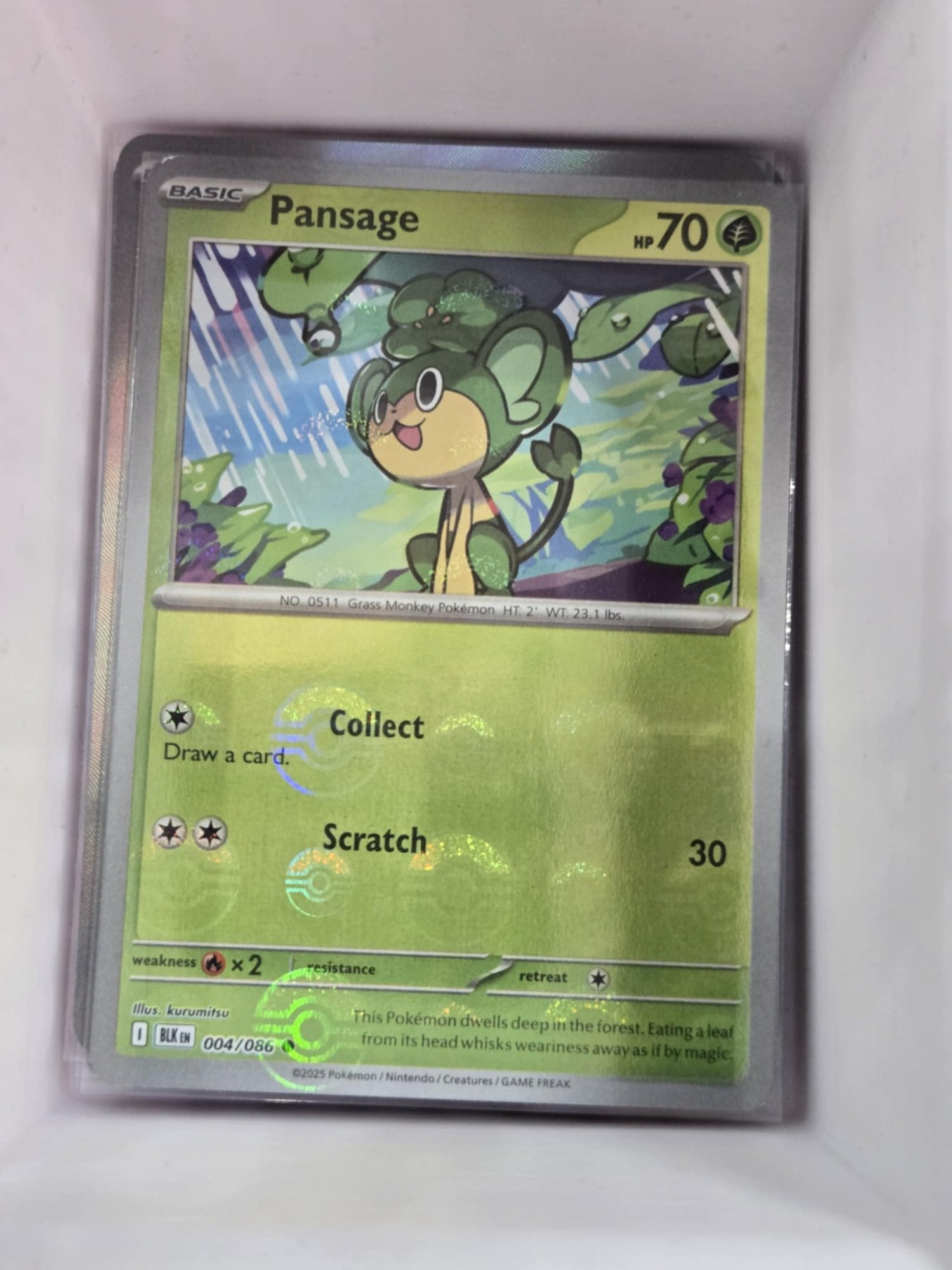 Image of Pansage Black Bolt (BLK) #4