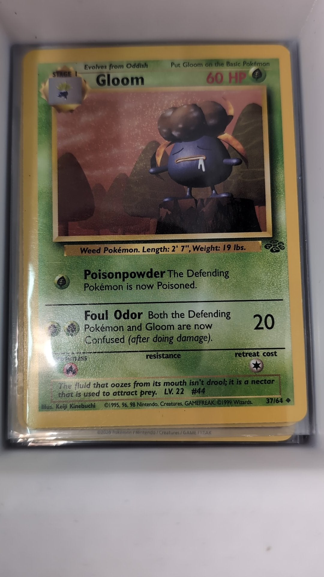 Image of Gloom Jungle (JU) #37