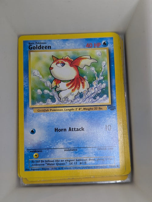 Goldeen