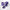 Pokemon - Full View Deck Box Miraidon - Pop Culture Larrikin