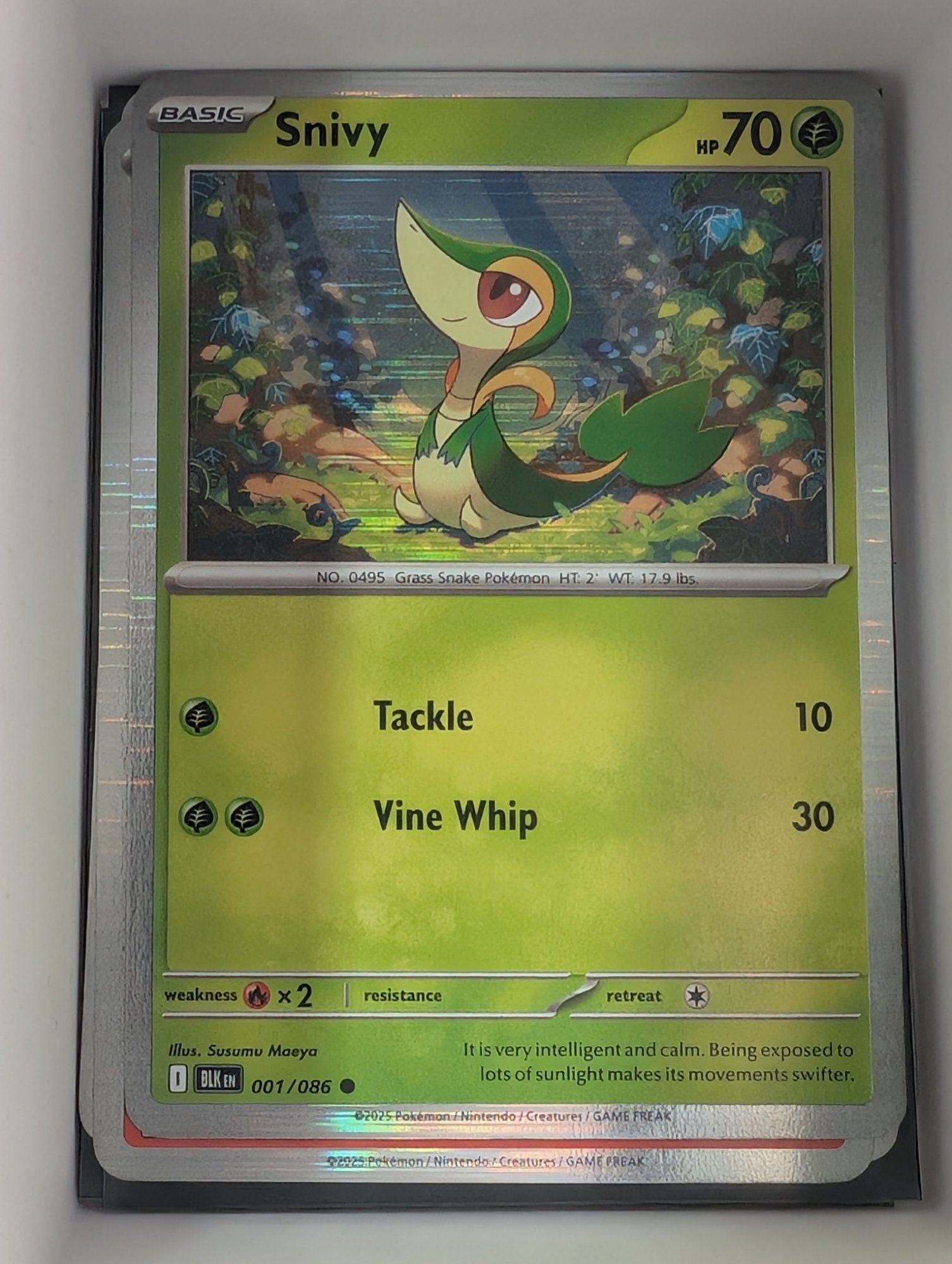 Image of Snivy Black Bolt (BLK) #1