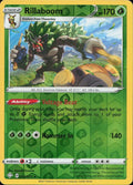 Rillaboom #13 reverse_holo Shining Fates en