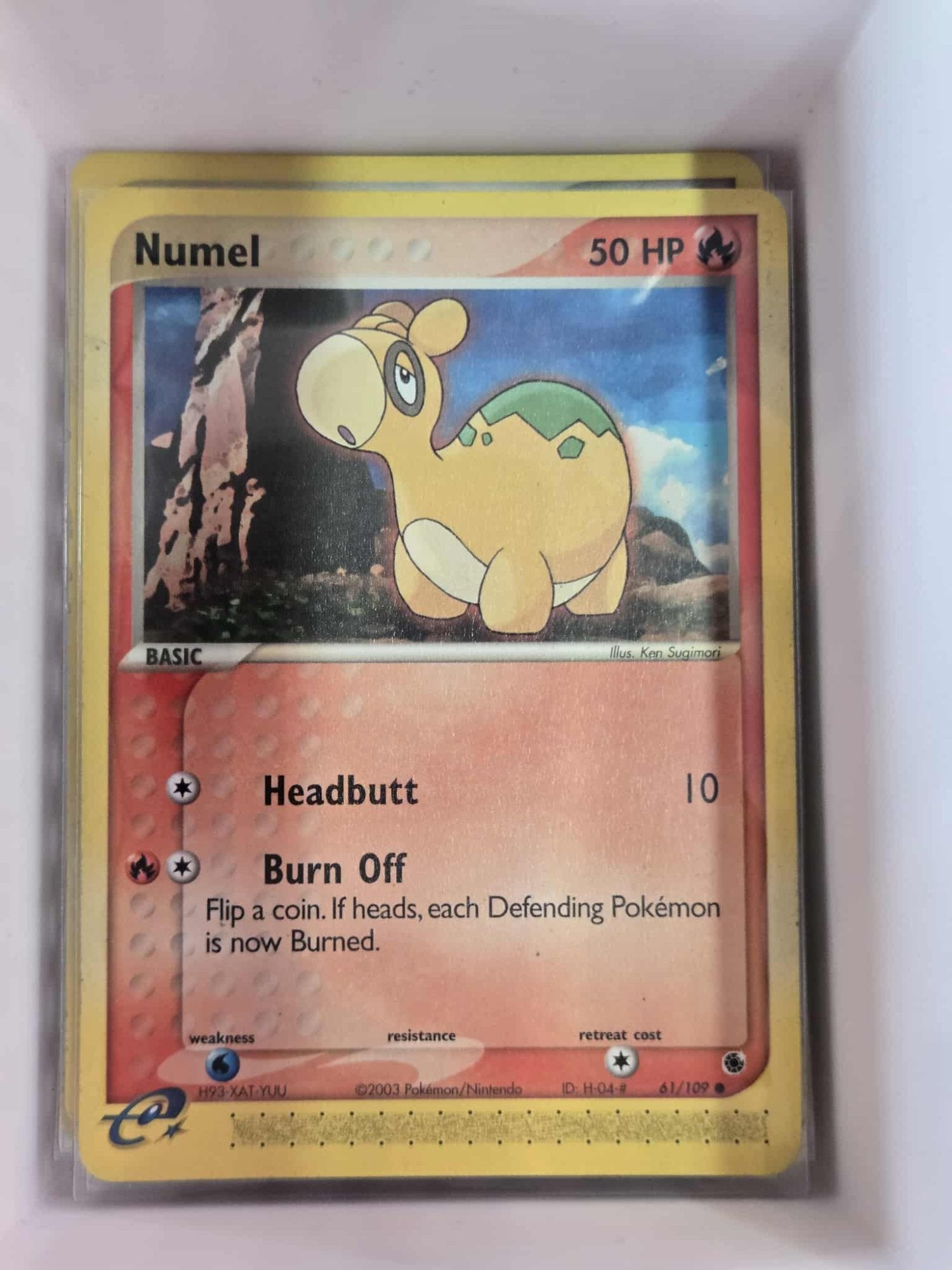 Image of Numel Ruby and Sapphire (RS) #61