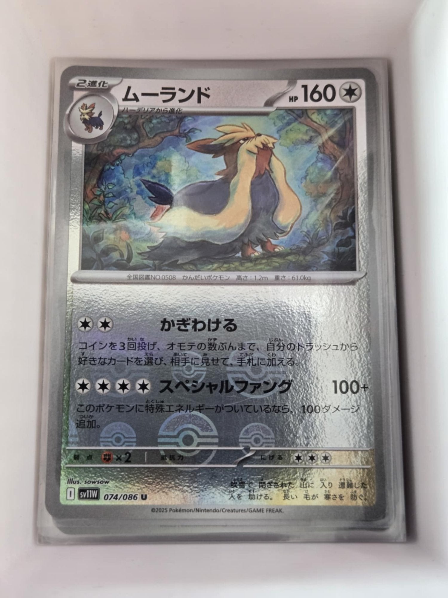 Image of Stoutland White Flare (sv11w) #74