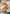 Image of Centiskorch V Shiny Star V (S4A) #309