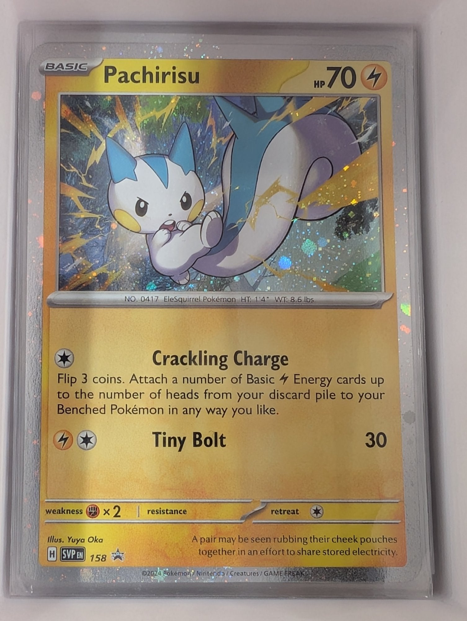 Image of Pachirisu Scarlet and Violet Promos (svp) #158