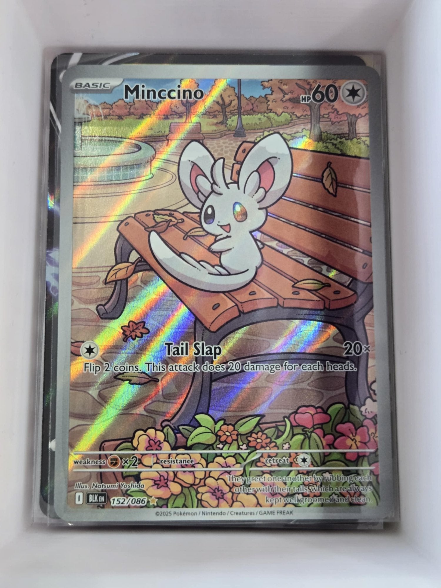 Image of Minccino Black Bolt (BLK) #152