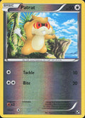 Patrat #77 reverse_holo Black & White en