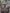 Image of Abyssal Harvester Foundations (FDN) #381