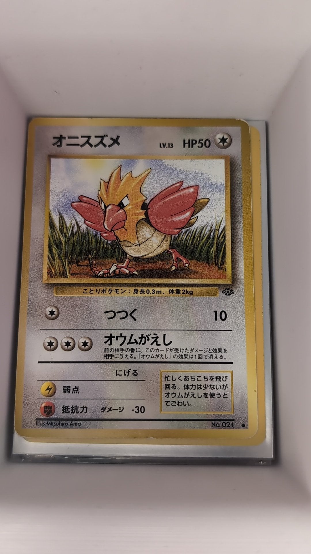 Image of Spearow Pokemon Jungle (B02) #021