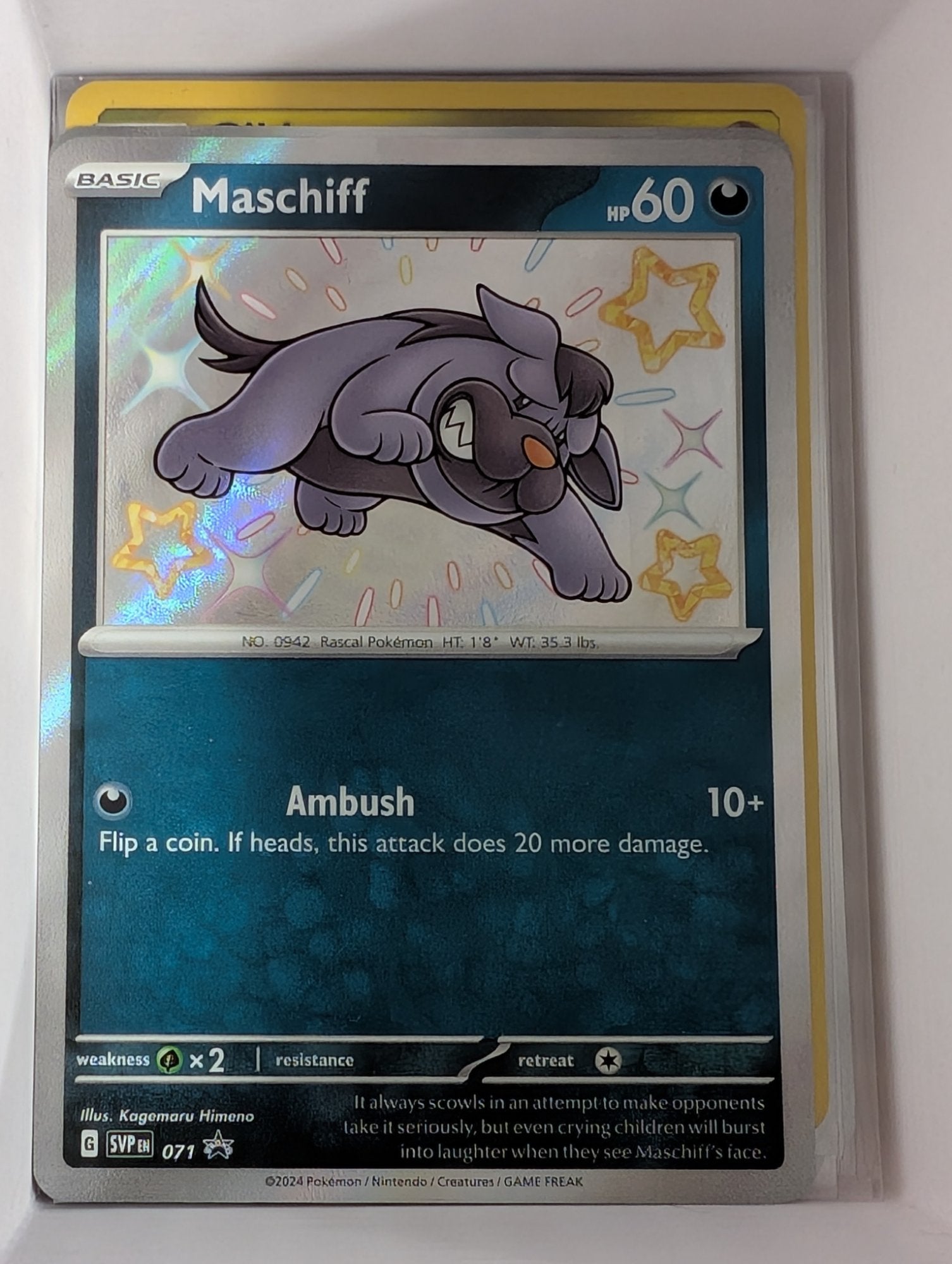 Image of Maschiff Scarlet and Violet Promos (SVP) #71
