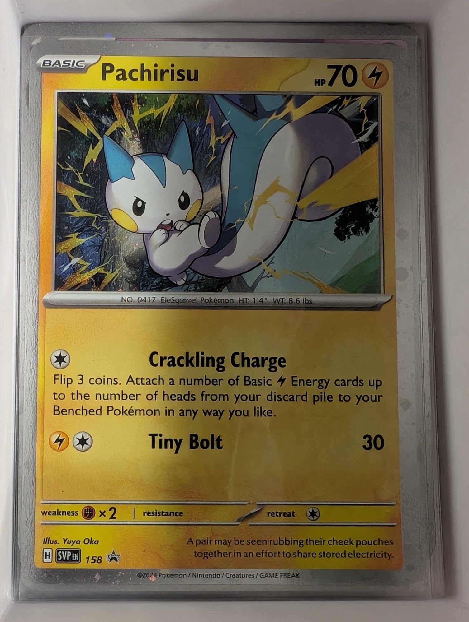 Image of Pachirisu Scarlet and Violet Promos (svp) #158