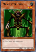 Image of Man-Eater Bug