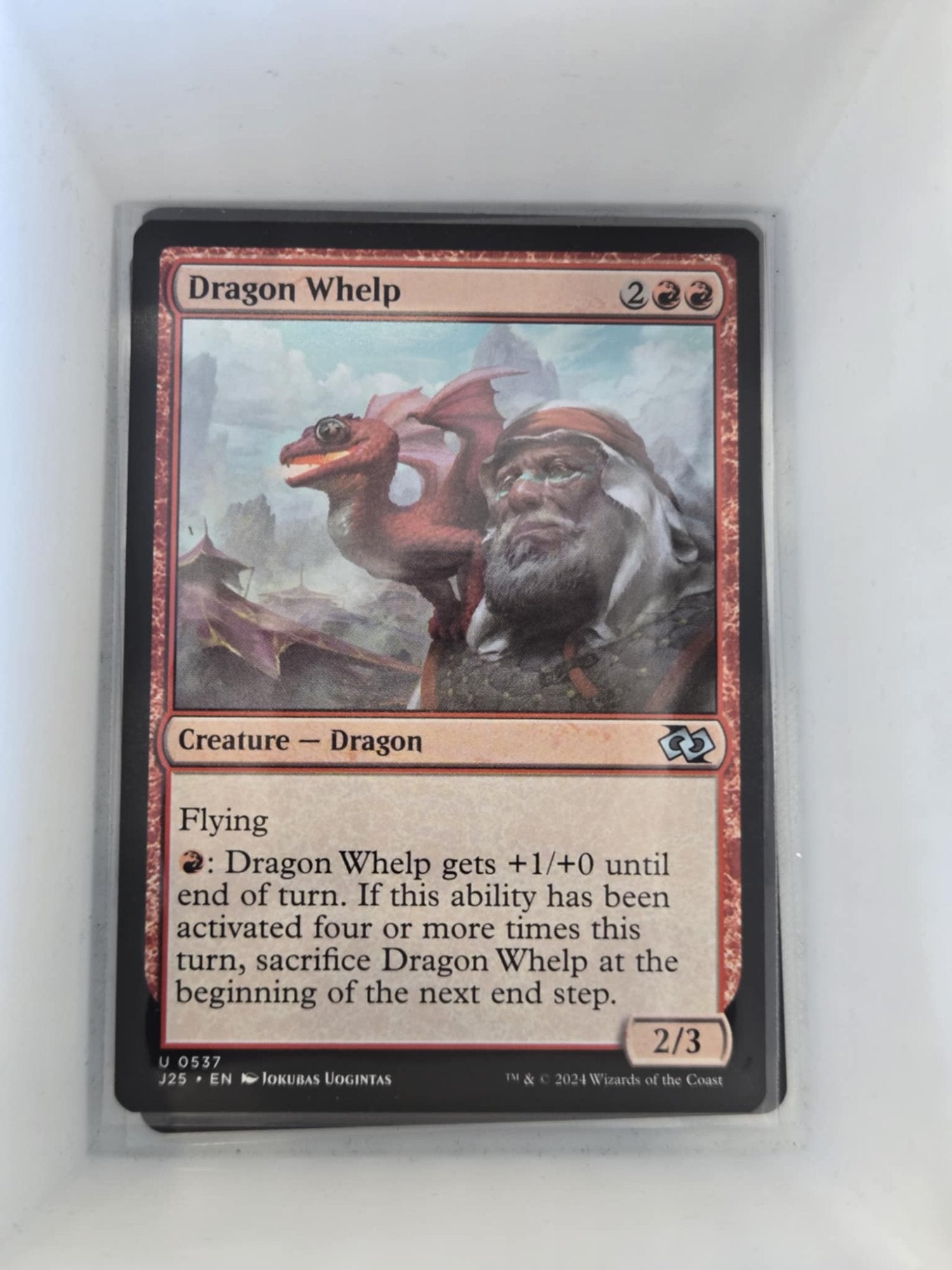 Image of Dragon Whelp Foundations Jumpstart (J25) #537