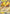Image of Zapdos ex Pokemon 151 (SV2a) #145