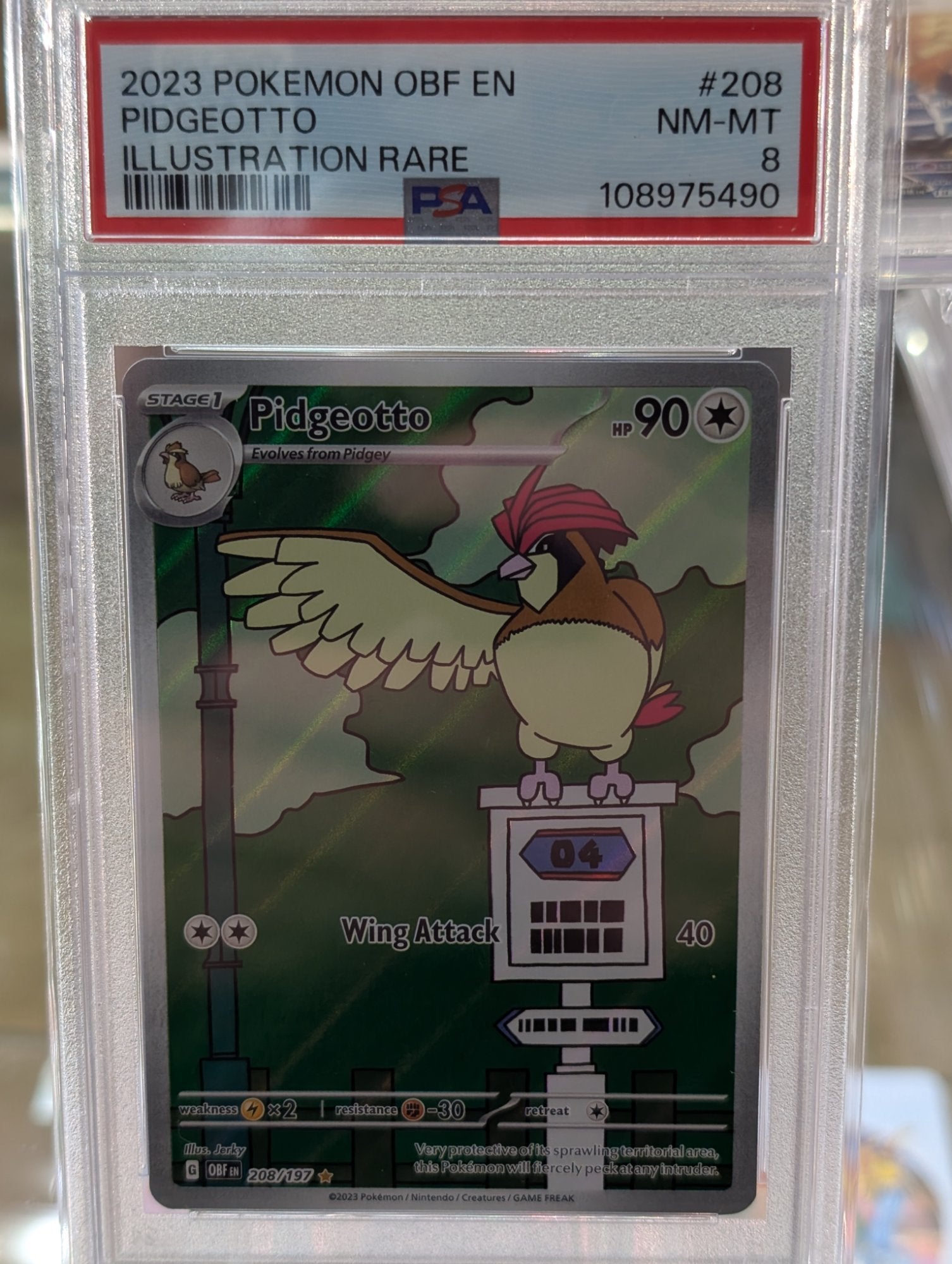 Image of Pidgeotto Obsidian Flames (OBF) #208