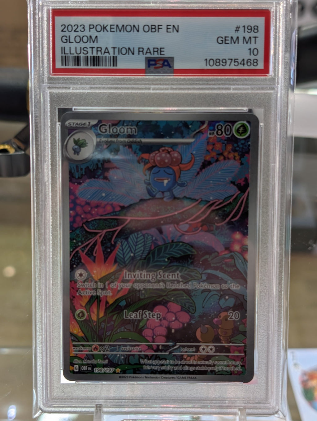 Image of Gloom Obsidian Flames (OBF) #198