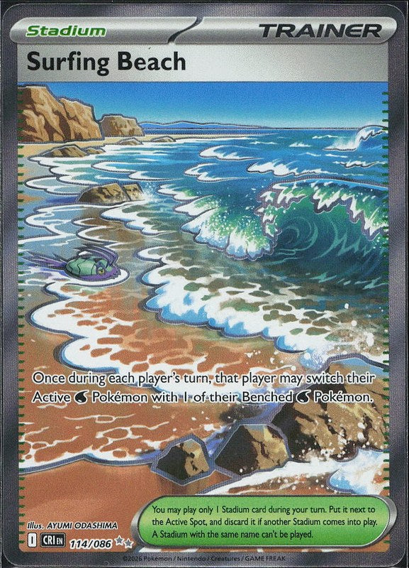 Surfing Beach #114 Chaos Rising en