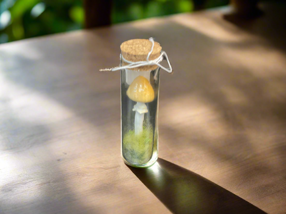 Handmade terrariums - The Murmuring Mystic - Pop Culture Larrikin 