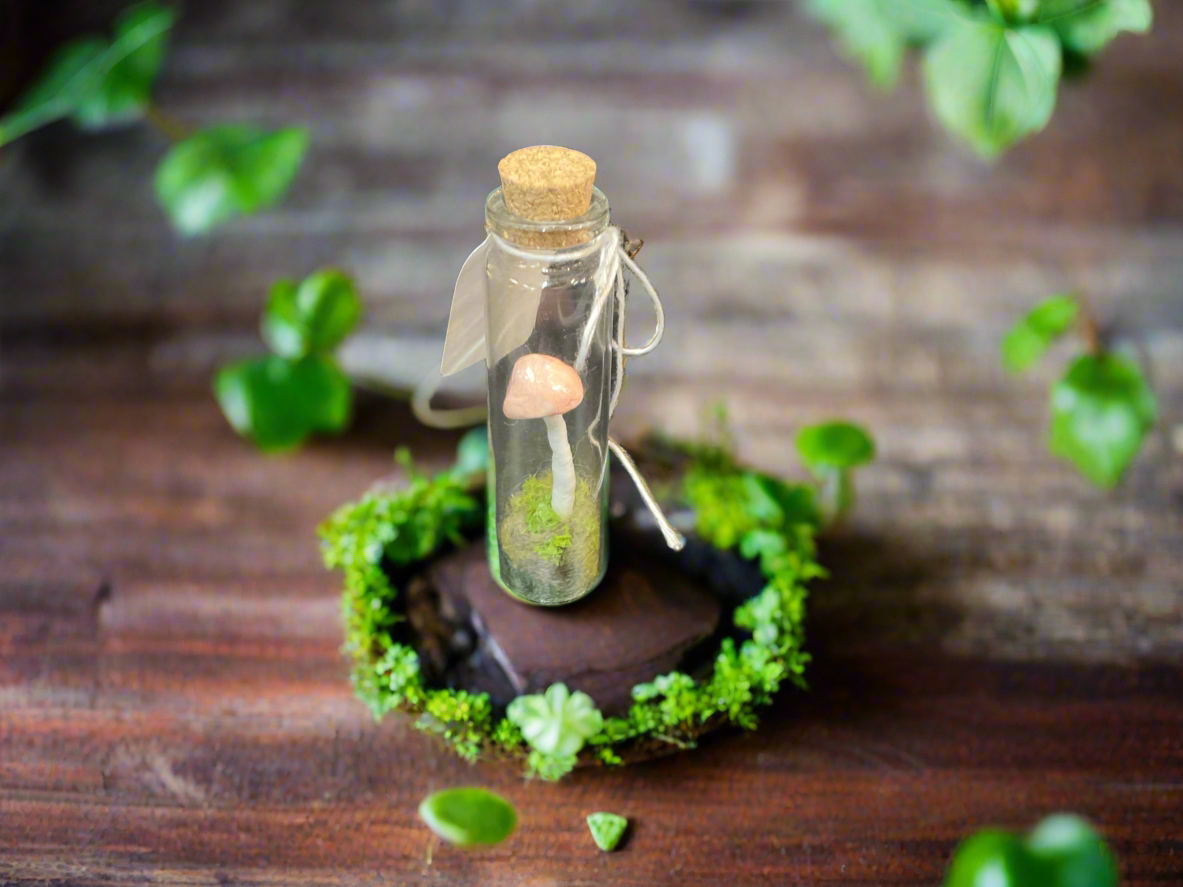 Handmade terrariums - The Murmuring Mystic - Pop Culture Larrikin 