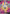 Image of Chandelure V Fusion Strike (FST) #247