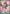 Image of Salamence ex Journey Together (JTG) #187