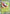 Image of Forretress ex Paldean Fates (PAF) #002