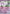 Image of Gardevoir ex Paldean Fates (PAF) #029