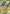 Image of Noivern ex Paldean Fates (PAF) #069