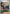 Image of Clive Paldean Fates (PAF) #227
