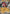 Image of Lycanroc ex Paldea Evolved (PAL) #117