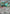 Image of Copperajah ex Paldea Evolved (PAL) #150