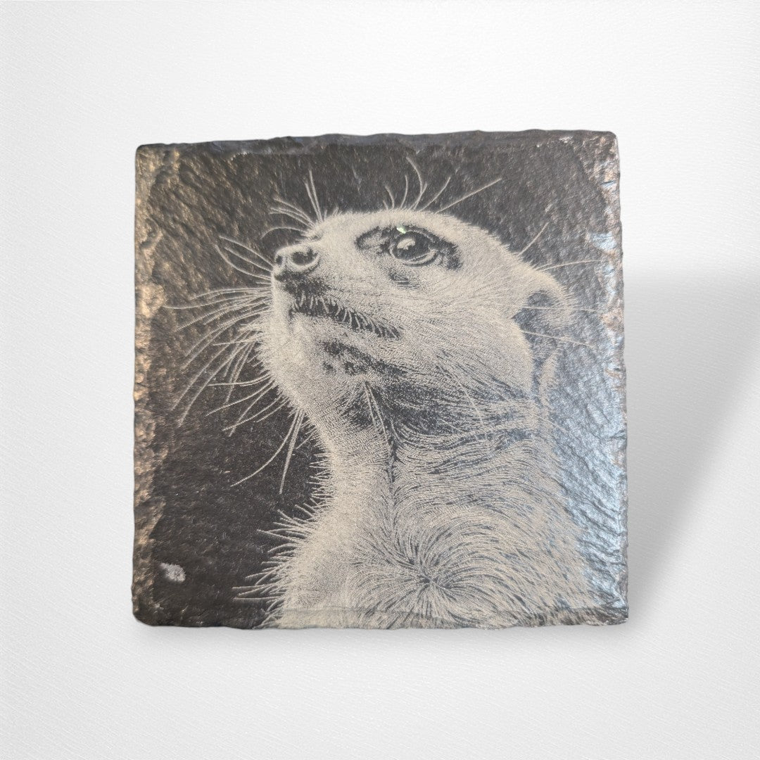 Coaster - Nature and Animals - Pop Culture Larrikin 