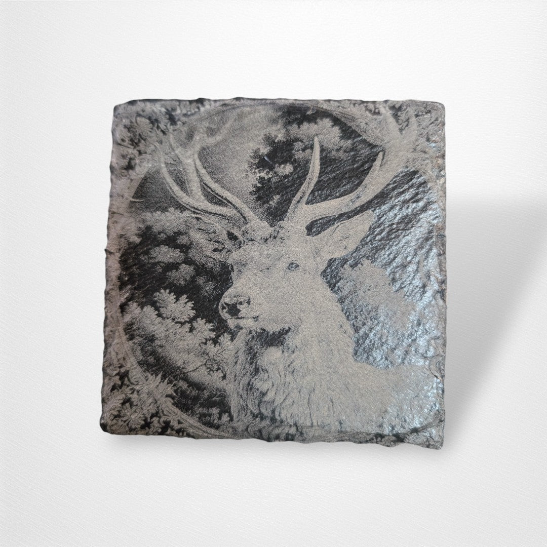 Coaster - Nature and Animals - Pop Culture Larrikin 