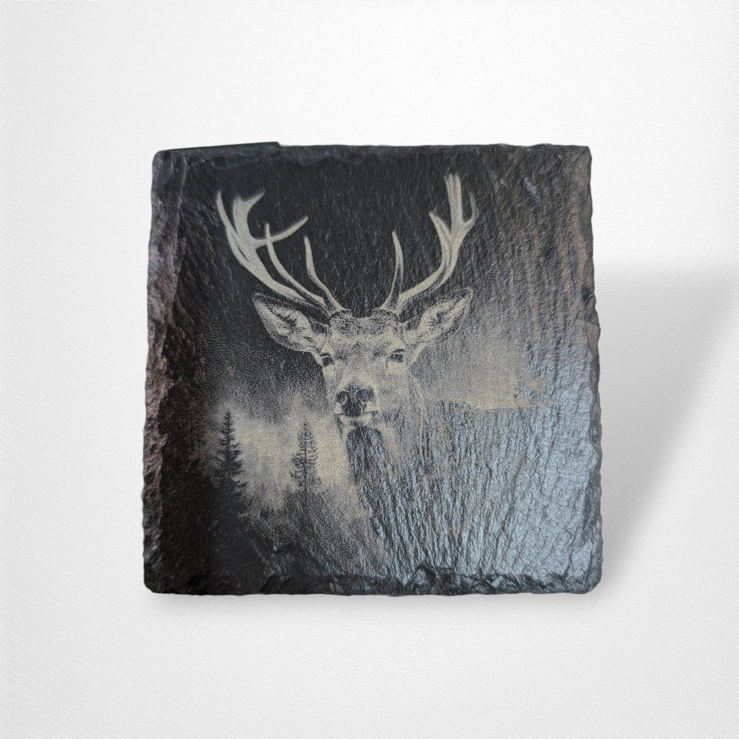 Coaster - Nature and Animals - Pop Culture Larrikin 