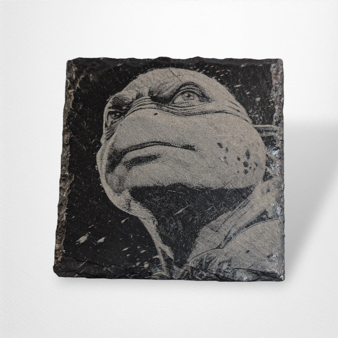 Coaster - TMNT Inspired - Pop Culture Larrikin 