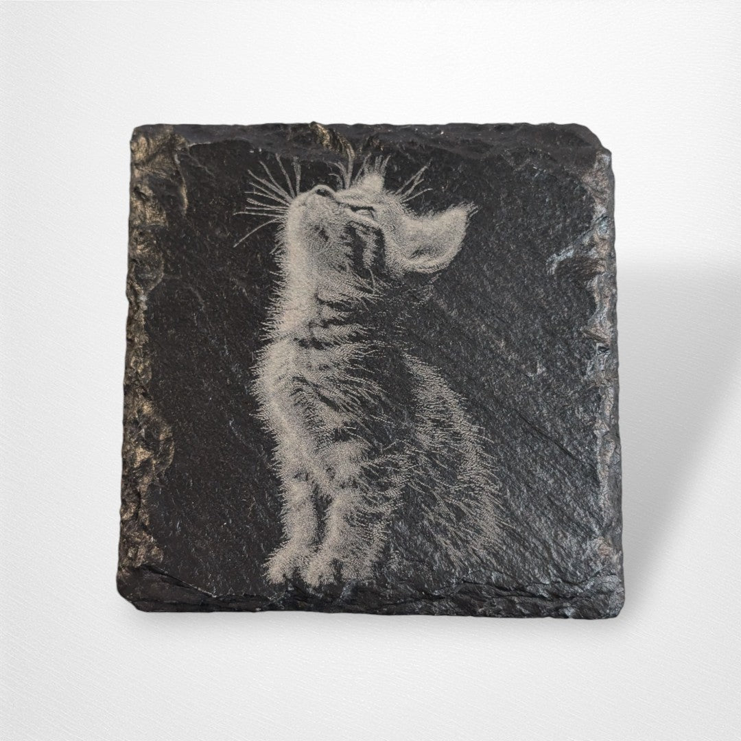Coaster - Cats - Pop Culture Larrikin 
