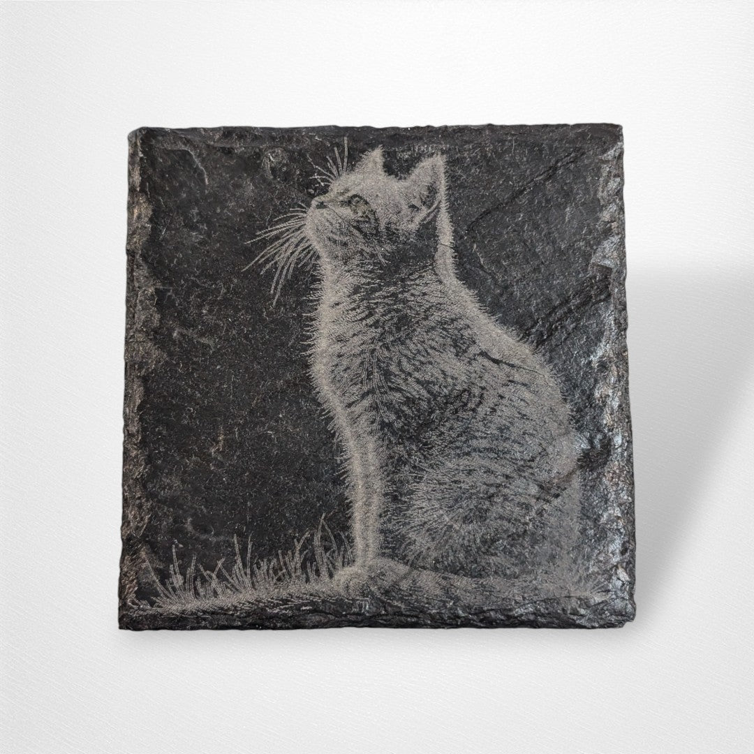 Coaster - Cats - Pop Culture Larrikin 