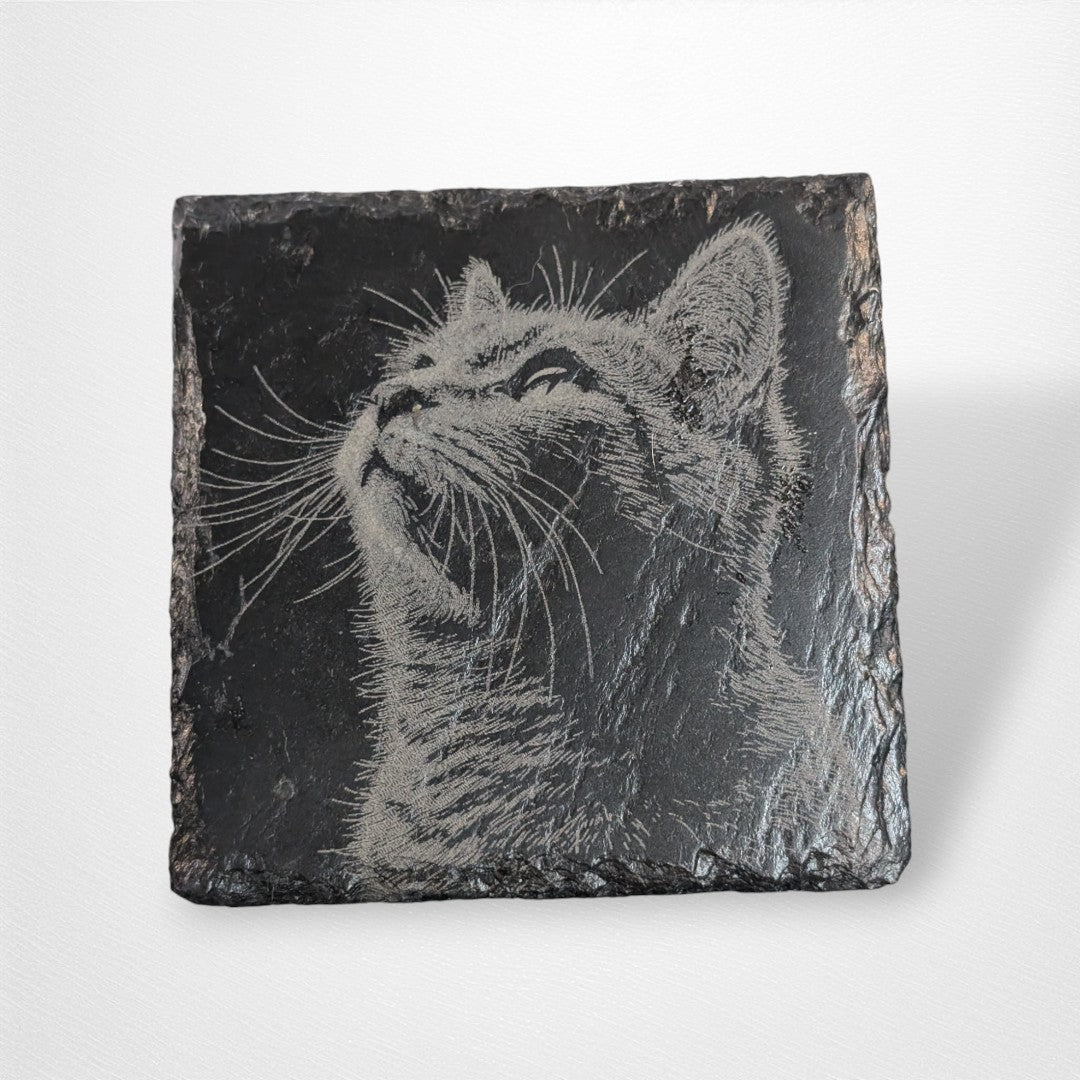 Coaster - Cats - Pop Culture Larrikin 