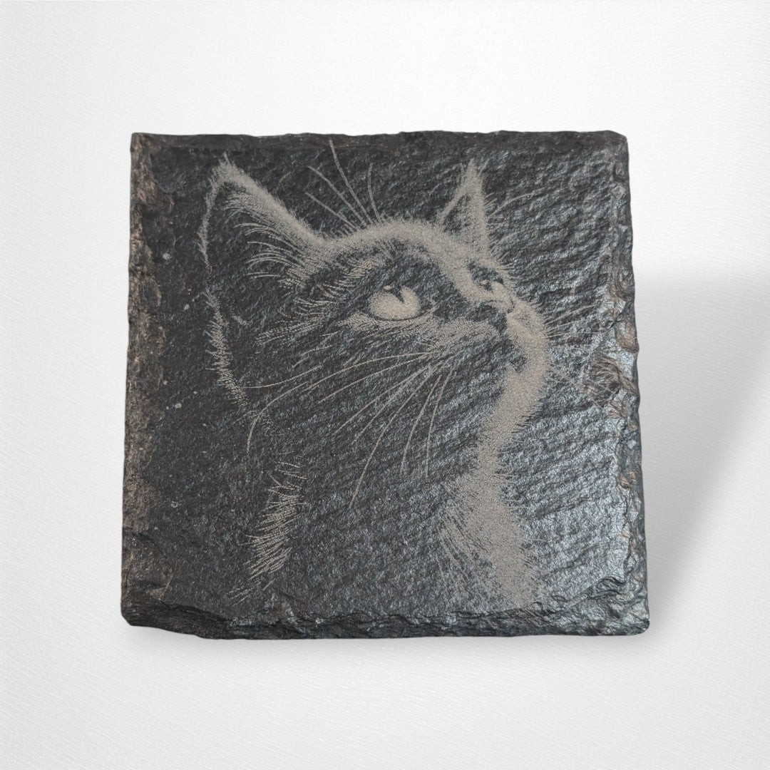 Coaster - Cats - Pop Culture Larrikin 