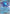 Image of Kingdra ex Shrouded Fable (SFA) #012