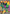 Image of Okidogi ex Shrouded Fable (SFA) #082