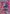 Image of Munkidori ex Shrouded Fable (SFA) #083