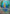 Image of Bruxish Surging Sparks (SSP) #200