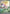 Image of Milotic ex Surging Sparks (SSP) #237