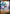 Image of Gallade V Sword and Shield Promos #SWSH258