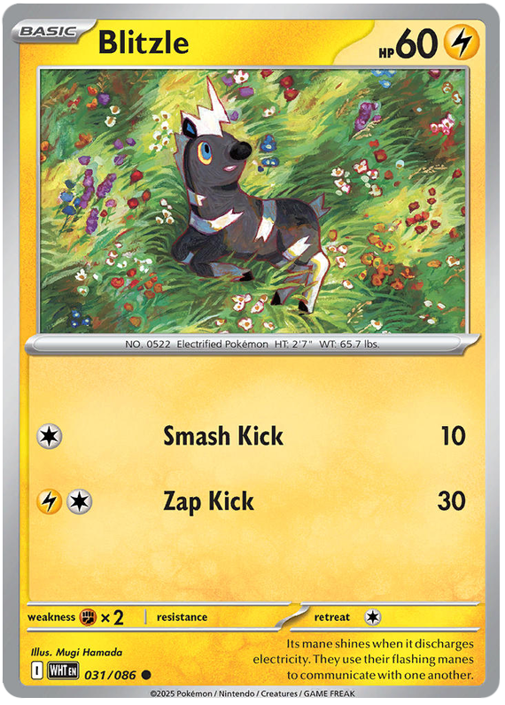 Image of Blitzle White Flare (WHT) #31