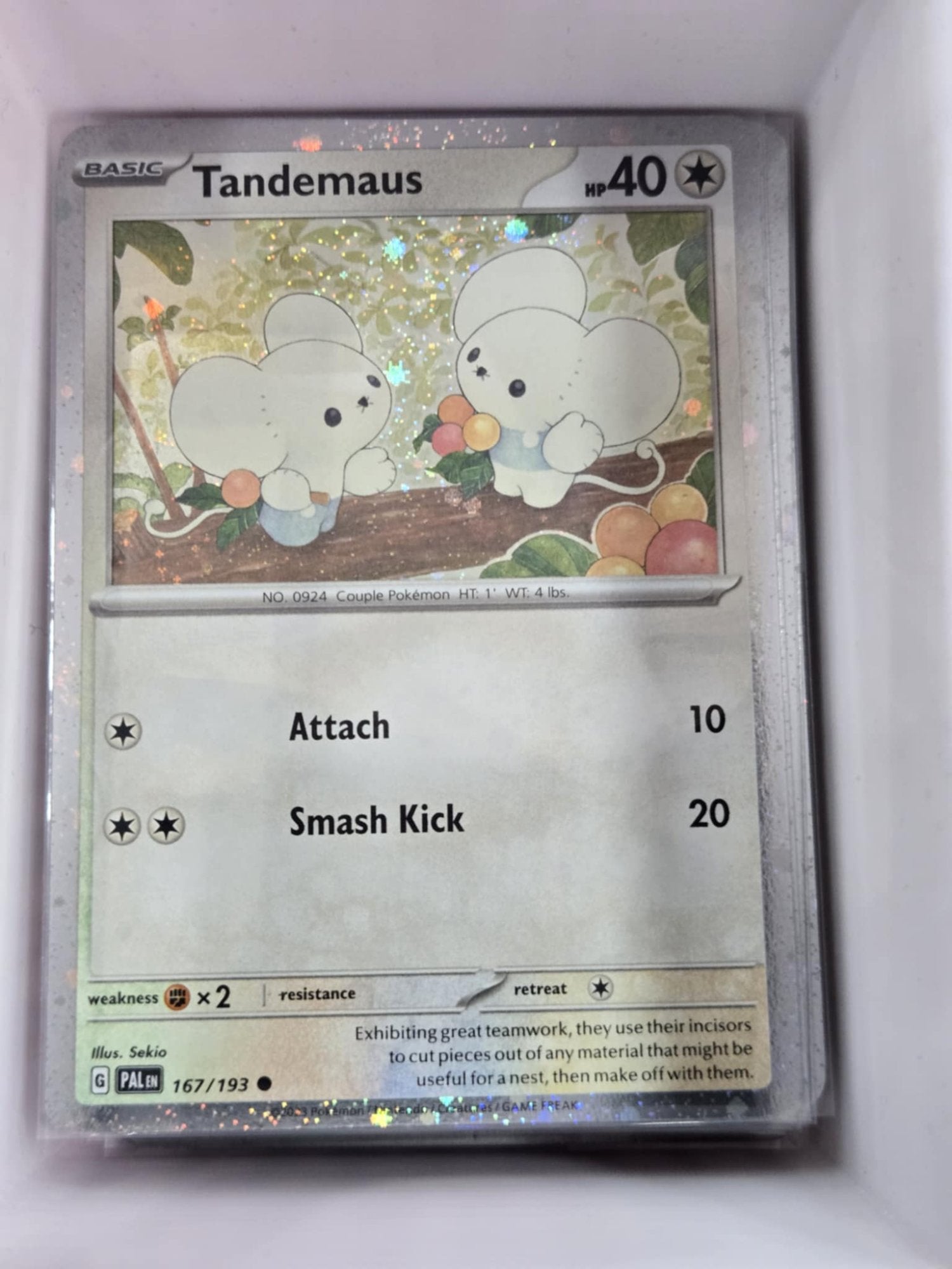 Image of Tandemaus Paldea Evolved (PAL) #167