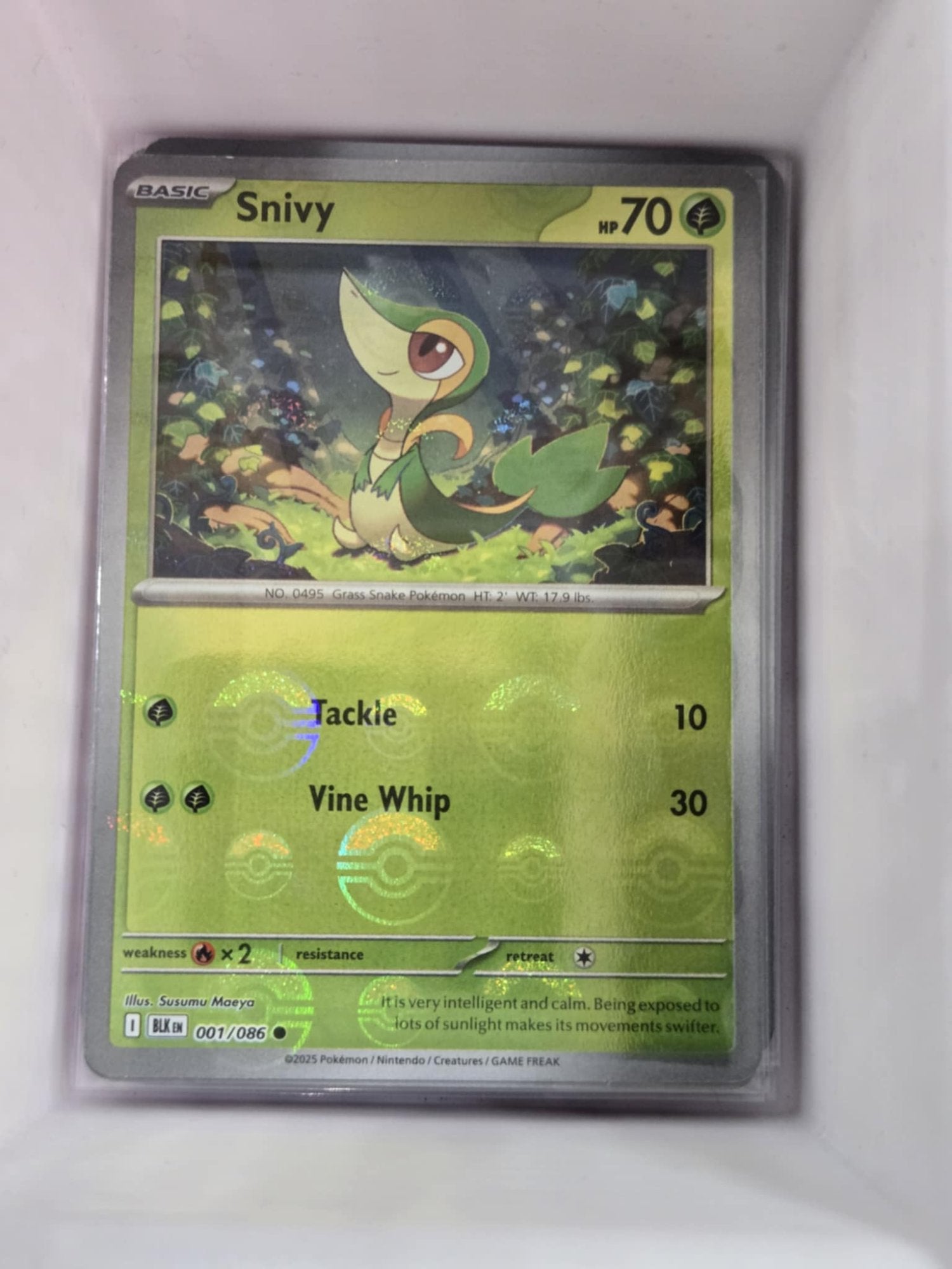 Image of Snivy Black Bolt (BLK) #1