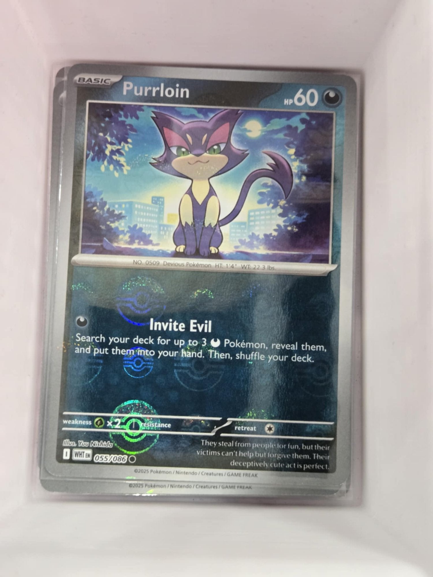 Image of Purrloin White Flare (WHT) #55